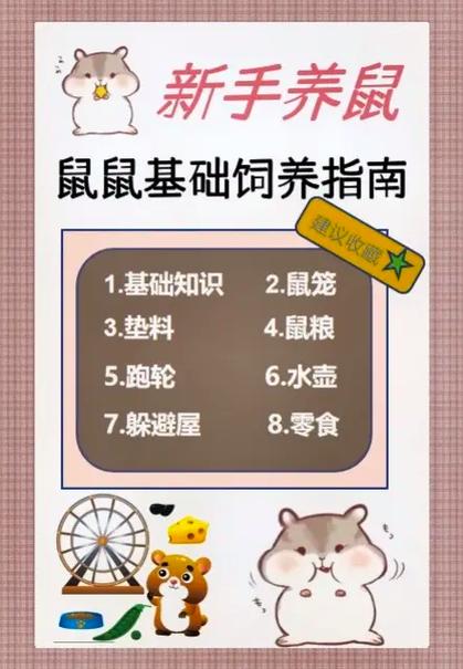 新手养仓鼠一开始要准备一些什么图标