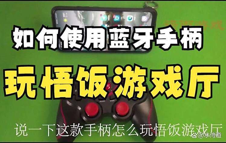 悟饭手柄说明书缩略图