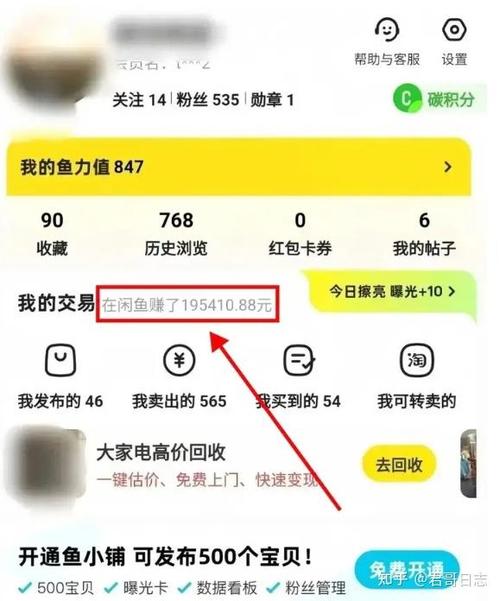 闲鱼收入的钱什么时候到账图标