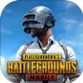 pubg国际服直装科技辅助免费下载-pubg国际服直装科技辅助下载免费缩略图