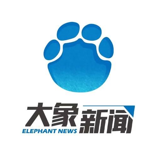 河南大象新闻直播间图标