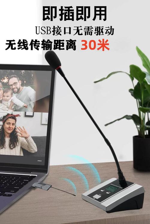 usb接口的麦克风插在电脑哪里