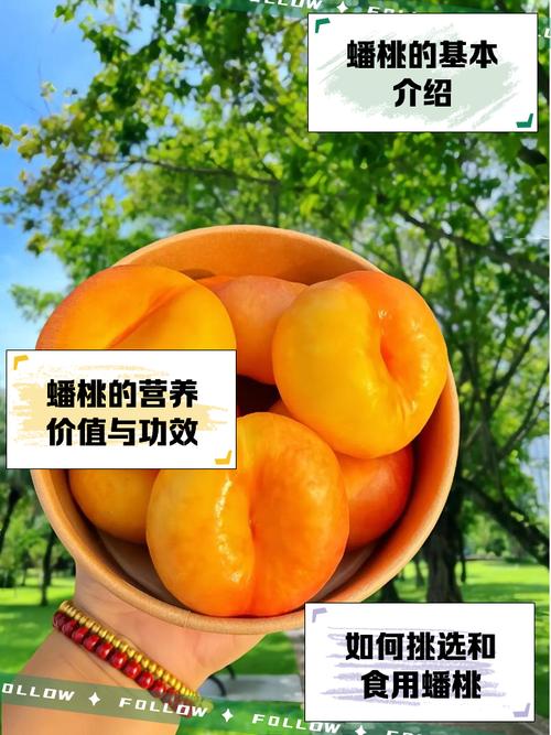 蟠桃短视频红包版v1.0.0