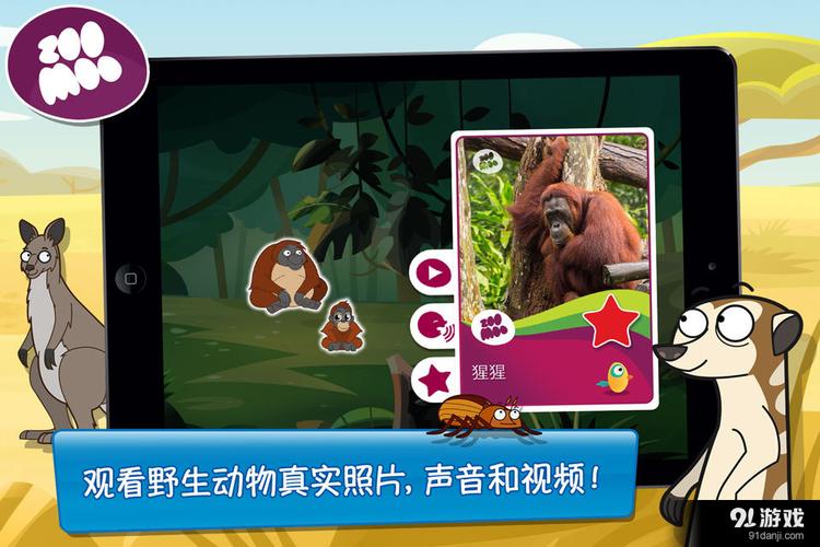 野生动物的声音学习和测验手游