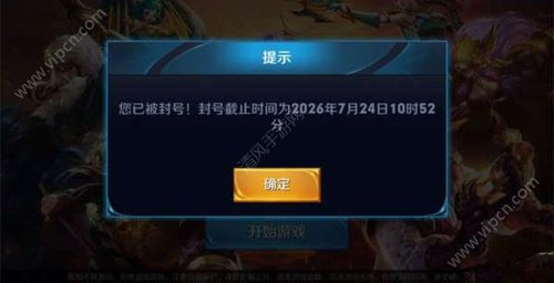 王者荣耀开挂神器不封号版朱雀防走失缩略图