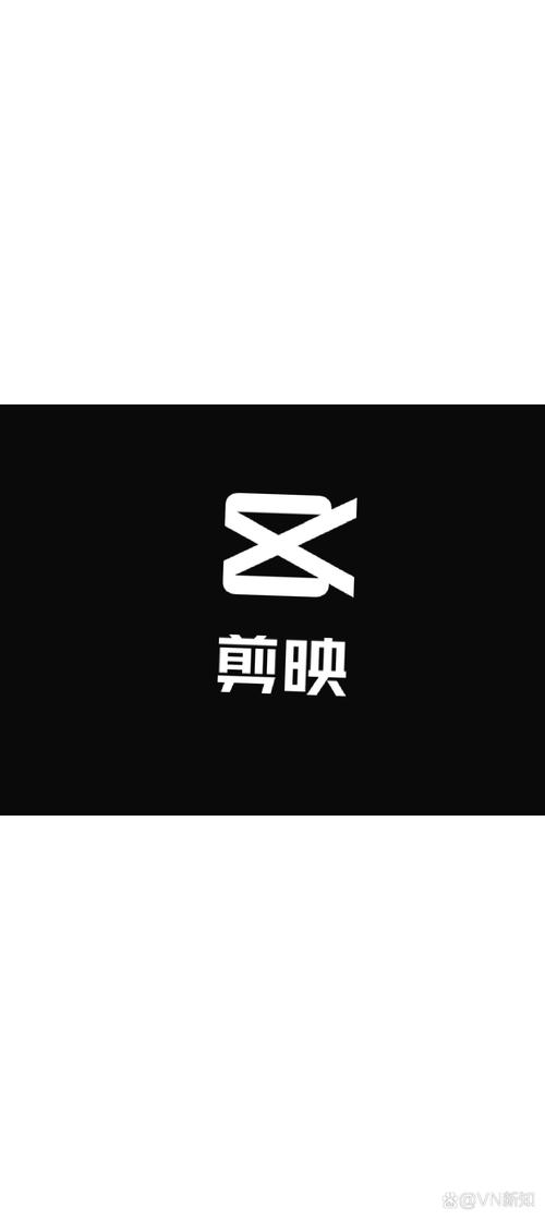 剪映加入文字显示不出来