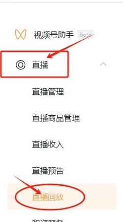 直播回放怎么保存到网盘