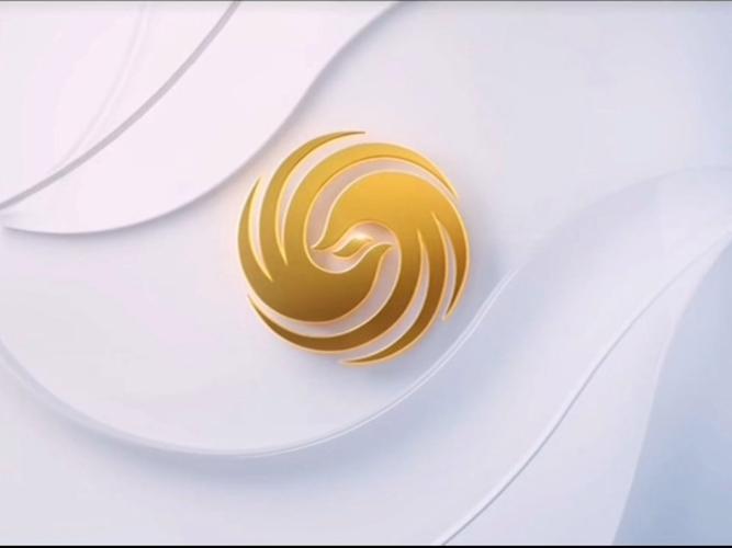 凤凰卫视凤凰正点播报视频缩略图