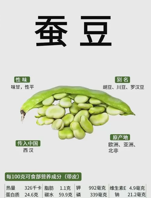 蚕豆的功效与作用禁忌