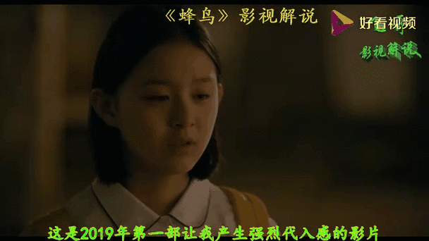 蜂鸟视频无删减福利版