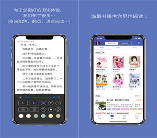 石头阅读换源版蓝色版无广告免费