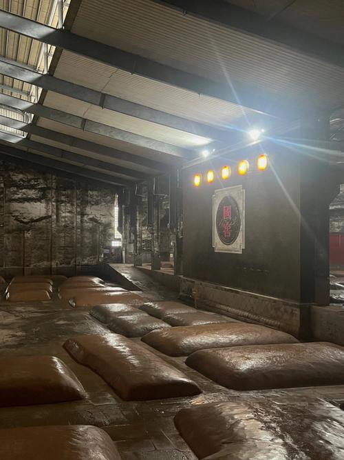 窖池视频无删减福利版缩略图