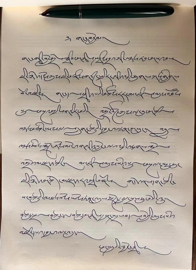 藏文作业一拍秒出答案手机在线观看