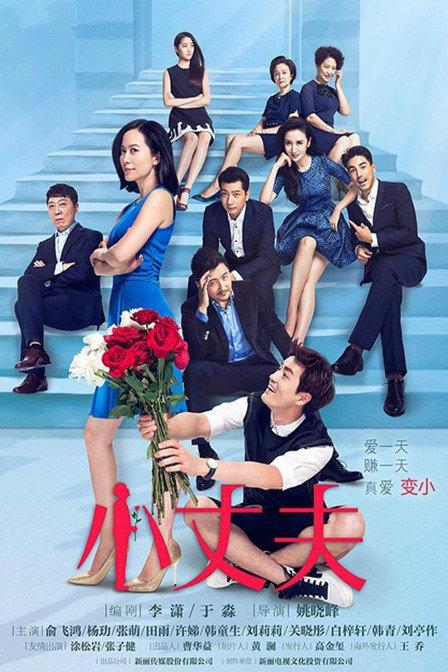 小丈夫电视剧全集剧情彩色版图标