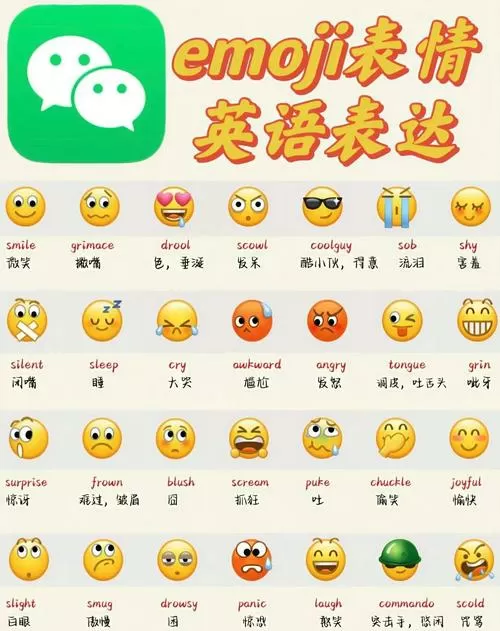 微信不能翻译哪国语言图标