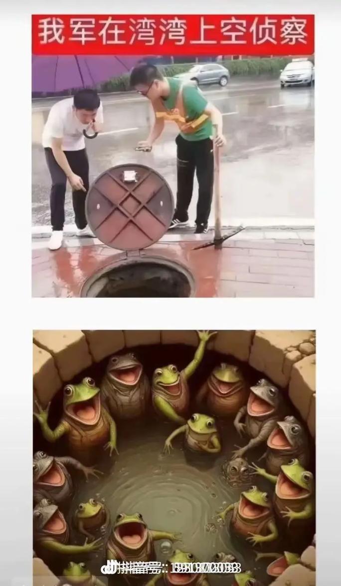 台湾绿蛙是什么意思