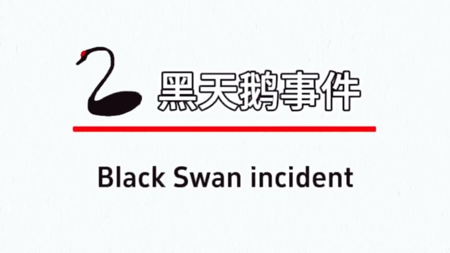 黑天鹅全国门店一览表辅助工具