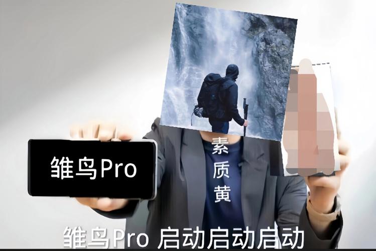 雏鸟pro破解版安装包雏鸟Pro破解版安装包是安卓下载真人版缩略图