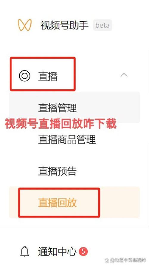 直播回放怎么到手机
