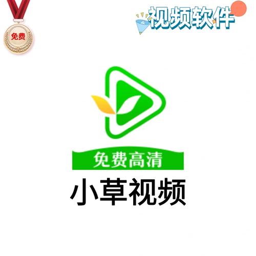 小草影视app官网最新版本更新内容