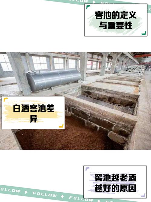 窖池视频怎么下载