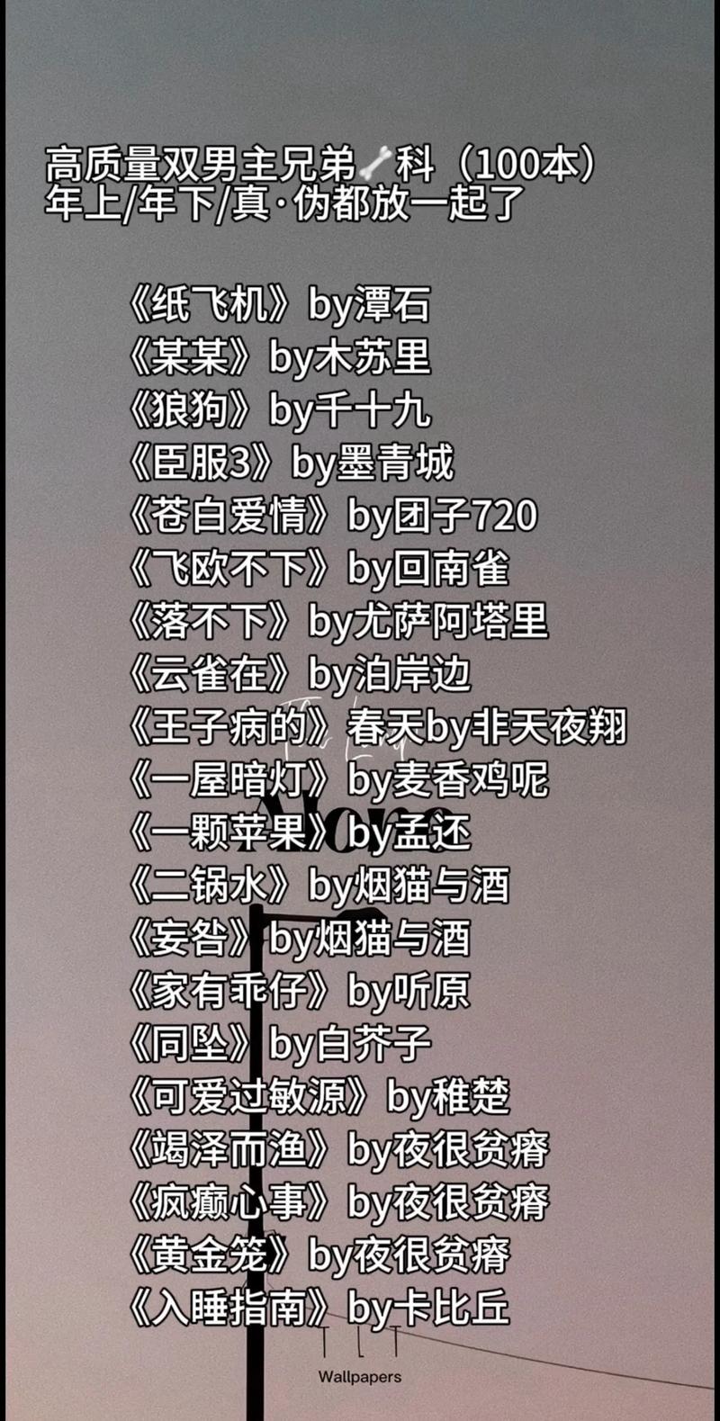 有哪些好看的男男小说