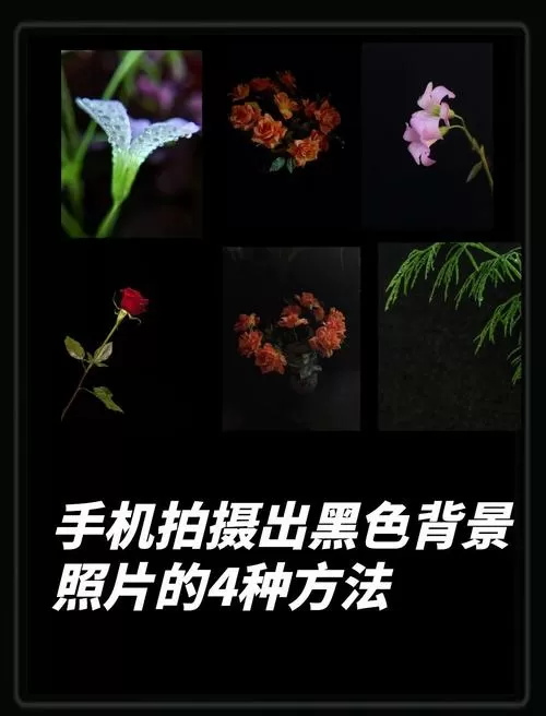 手机设置背景变黑色怎么调回来图标