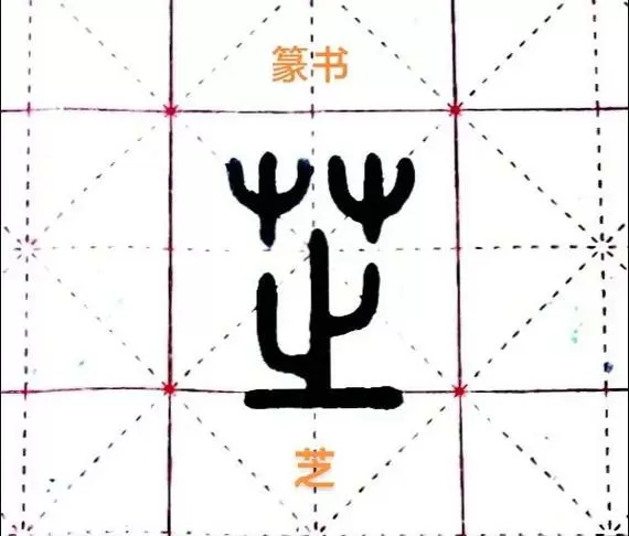 芝字一般人压不住的原因缩略图