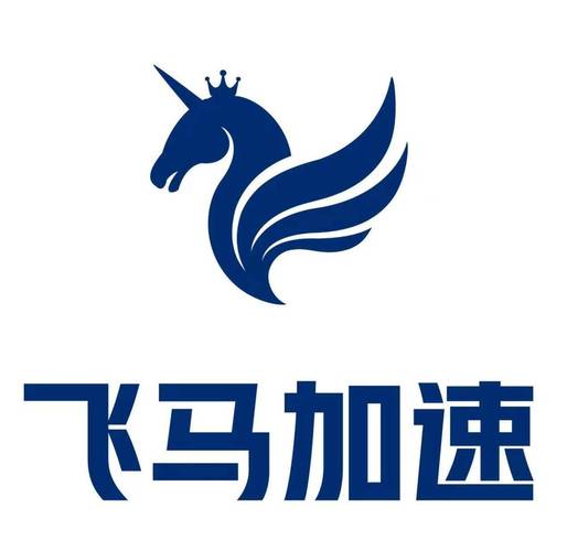 飞马加速器官网下载安装无需付费版