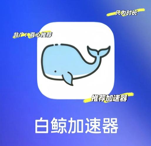 白鲸加速器2023永久免费版永久会员版永久vip无广告