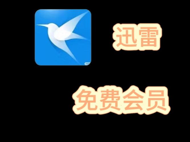 迅雷无限会员2025最新版永久vip版图标