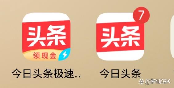 找回今日头条极速版提米版图标