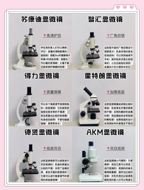显微镜和电子显微镜有什么区别