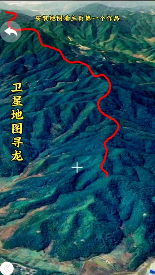 寻龙卫星地图
