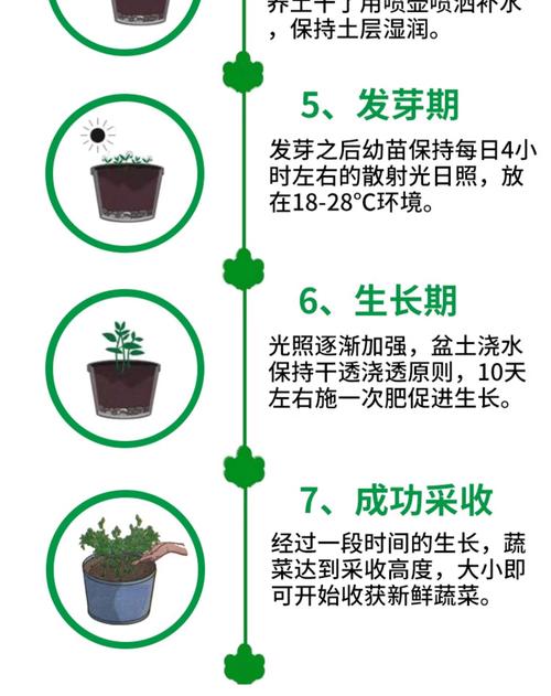 菠菜宝阅读赚钱福