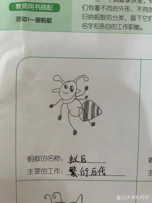 AGC蚂蚁分类