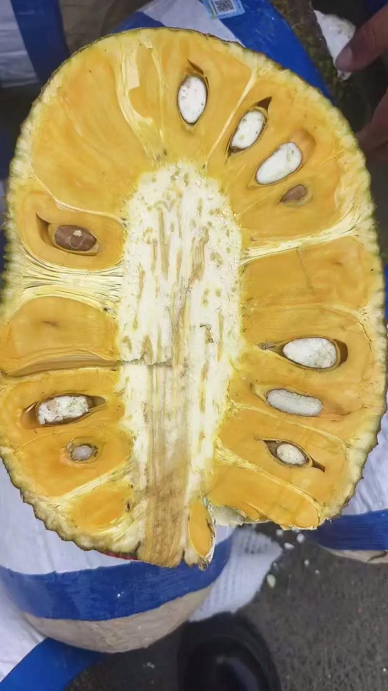 菠萝蜜接单平台