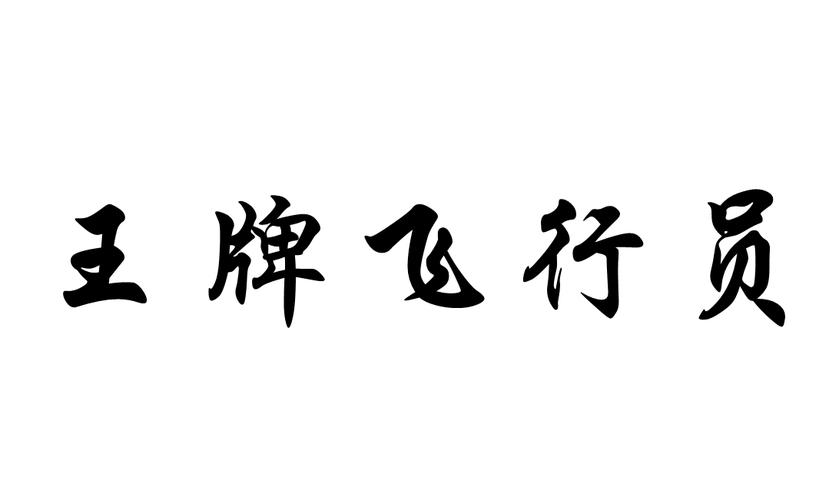 王牌飞行员破解版缩略图