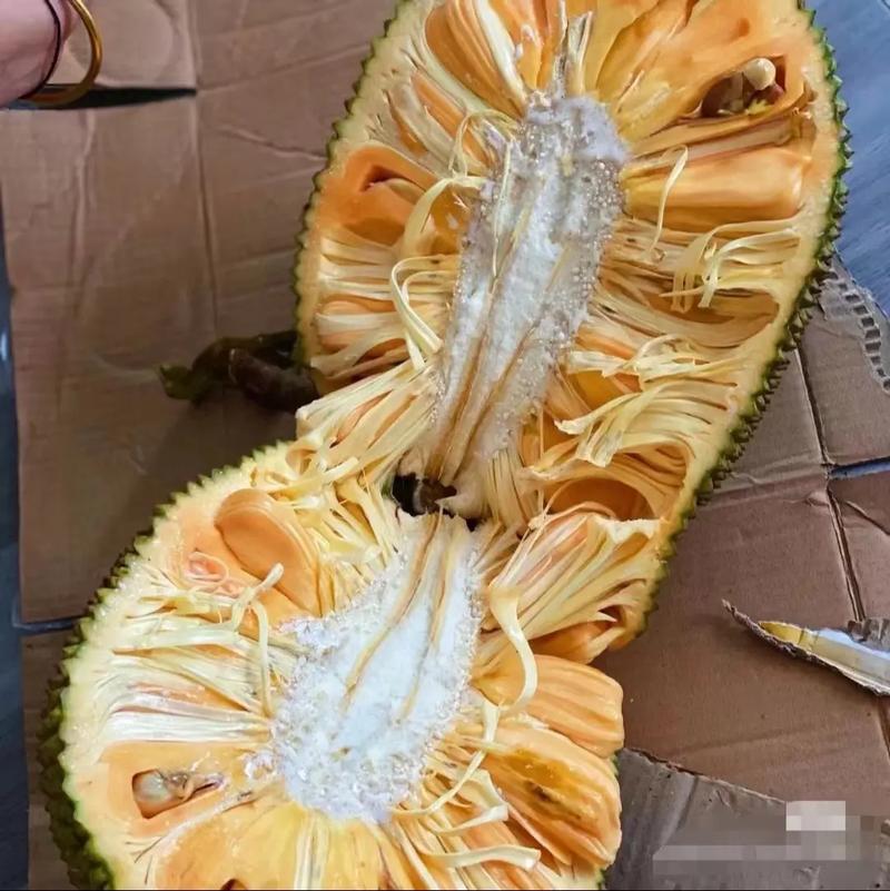 菠萝蜜转发赚钱