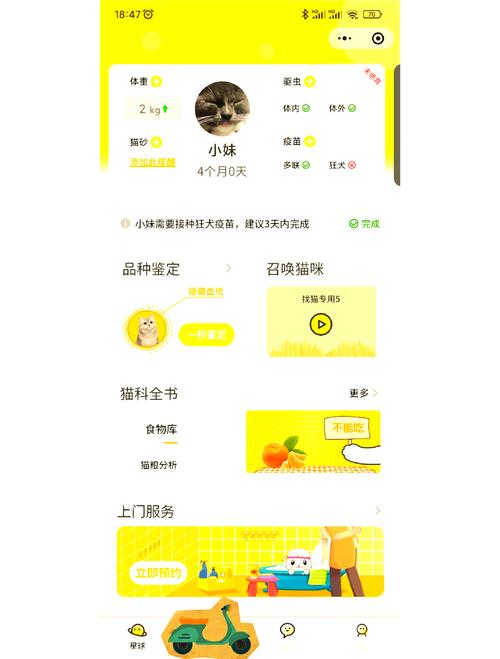 应用喵试玩赚钱平台