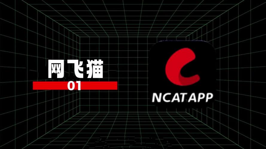 MB公益猫v10