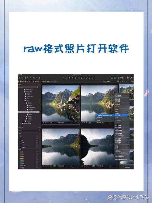 Adobe Camera Raw下载Adobe Camera Raw 中文