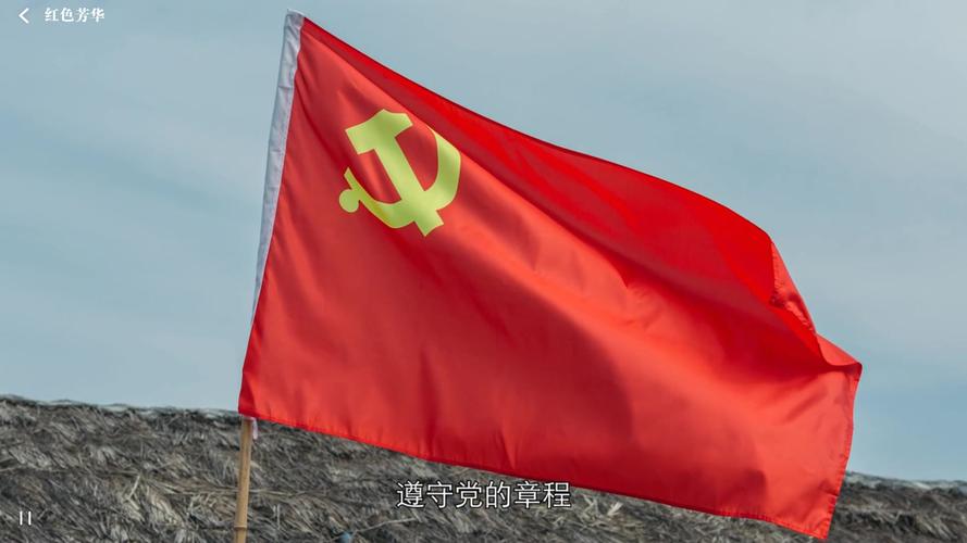 隐形守护者【红色芳华线、全流程】《隐形守护者》图文缩略图
