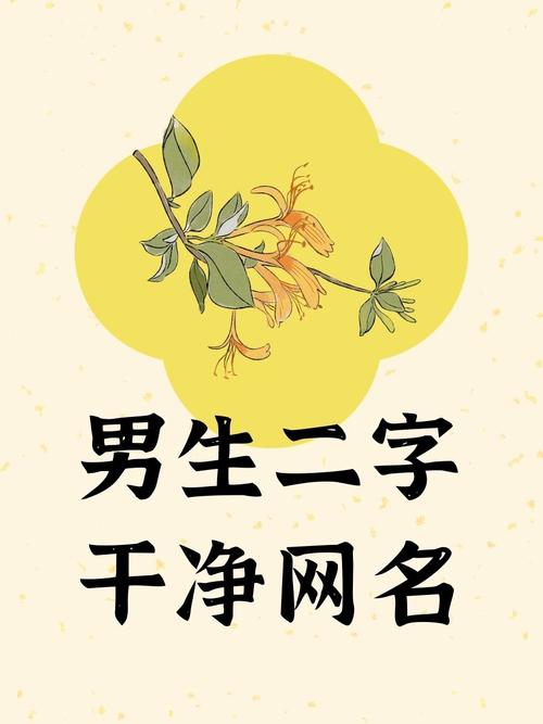 男生干净简约网名