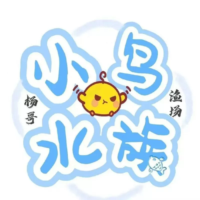 小鸟直播改名叫什么了